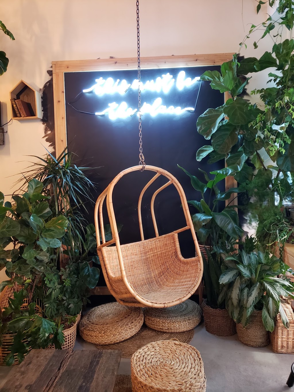 Leafy | restaurant | 641 NW 100th Pl, Pembroke Pines, FL 33024, USA | 9545054061 OR +1 954-505-4061