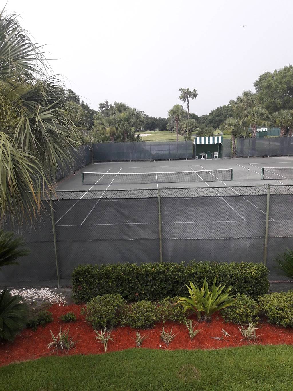 Tropics Restaurant | restaurant | 5700 Saddlebrook Way, Wesley Chapel, FL 33543, USA | 8139731111 OR +1 813-973-1111