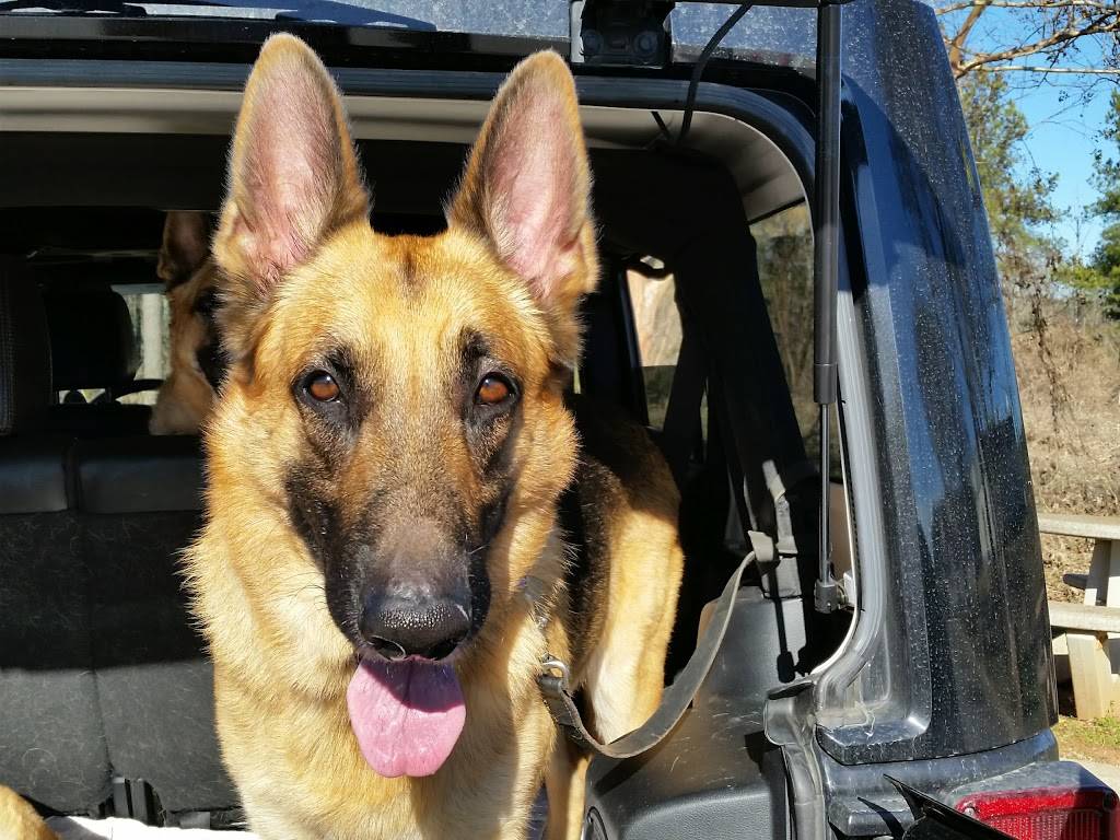 McDonalds | cafe | 659 Columbia Ave, Chapin, SC 29036, USA | 8033459715 OR +1 803-345-9715