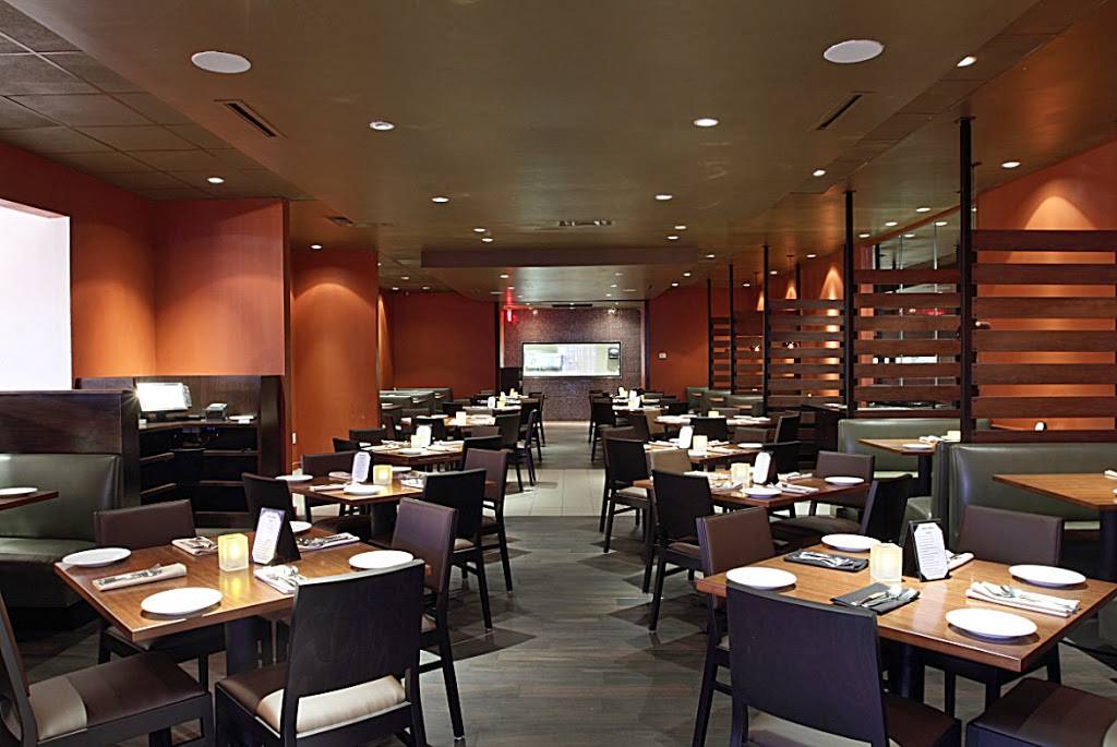 India Palace | restaurant | 12817 Preston Rd #105, Dallas, TX 75230, USA | 9723920190 OR +1 972-392-0190