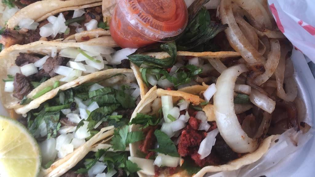 Taqueria Totaltaco | meal takeaway | 5226 Gunn Hwy, Tampa, FL 33624, USA | 8135509024 OR +1 813-550-9024