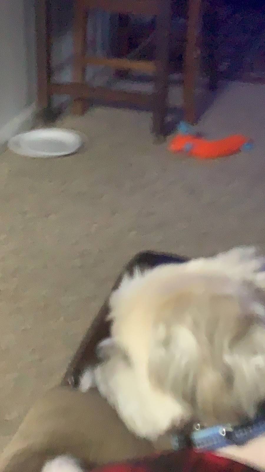 One Stop Market | restaurant | 7990 Old Nashville Hwy, McMinnville, TN 37110, USA | 9319393345 OR +1 931-939-3345