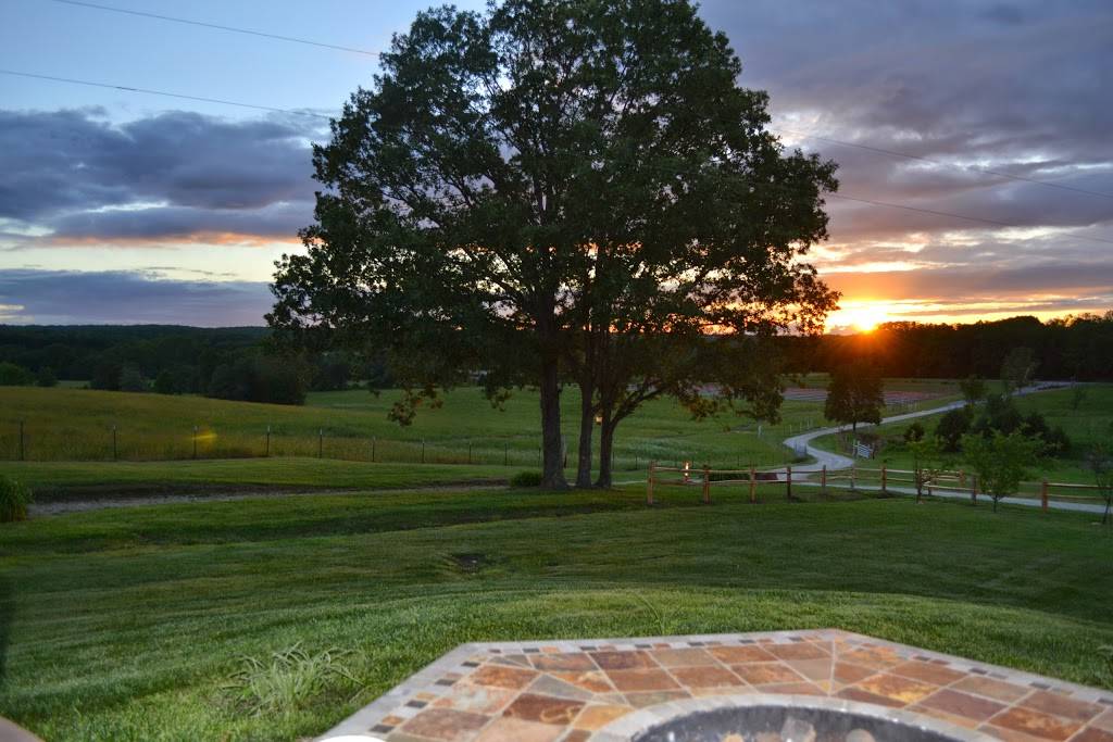 Belmont Vineyards | restaurant | 5870 Historic U.S. 66, Leasburg, MO 65535, USA | 5738857156 OR +1 573-885-7156