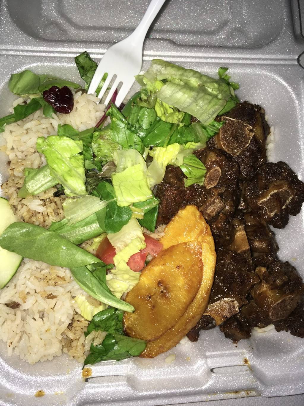 Jungle Restaurant | restaurant | 9 W Grand St, Mt Vernon, NY 10552, USA | 9146999555 OR +1 914-699-9555