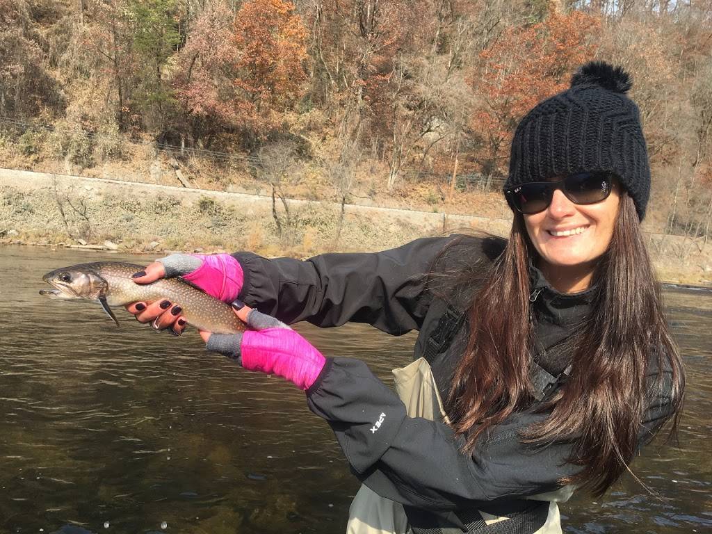 BLUE CHIP FLY FISHING LLC |  | 570 Ridgetop Cir, Whittier, NC 28789, USA | 9542634452 OR +1 954-263-4452