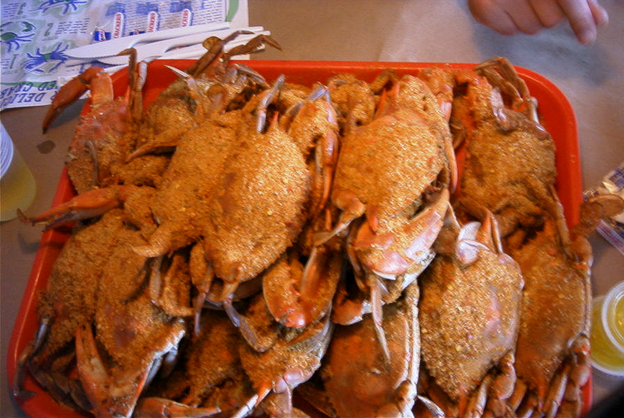 Howard House Tavern | restaurant | 101 W Main St, Elkton, MD 21921, USA | 4103984643 OR +1 410-398-4643