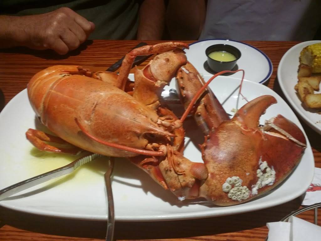 Red Lobster | restaurant | 25408 Bell Patna Dr, Katy, TX 77494, USA | 2816446030 OR +1 281-644-6030