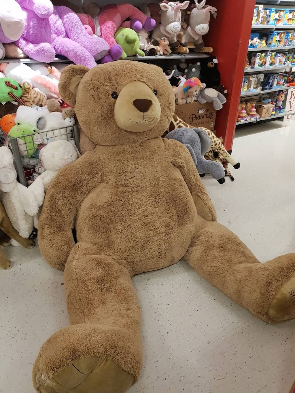 San Carlos Marketplace | shopping mall | 1127 Industrial Rd, San Carlos, CA 94070, USA | 9252791800 OR +1 925-279-1800