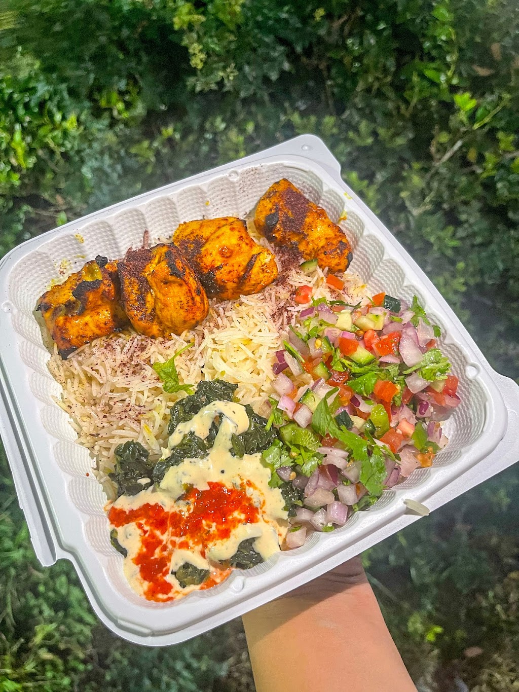 Naan and Kabob Halal | restaurant | 14631 Beechnut St, Houston, TX 77083, USA | 8329457156 OR +1 832-945-7156