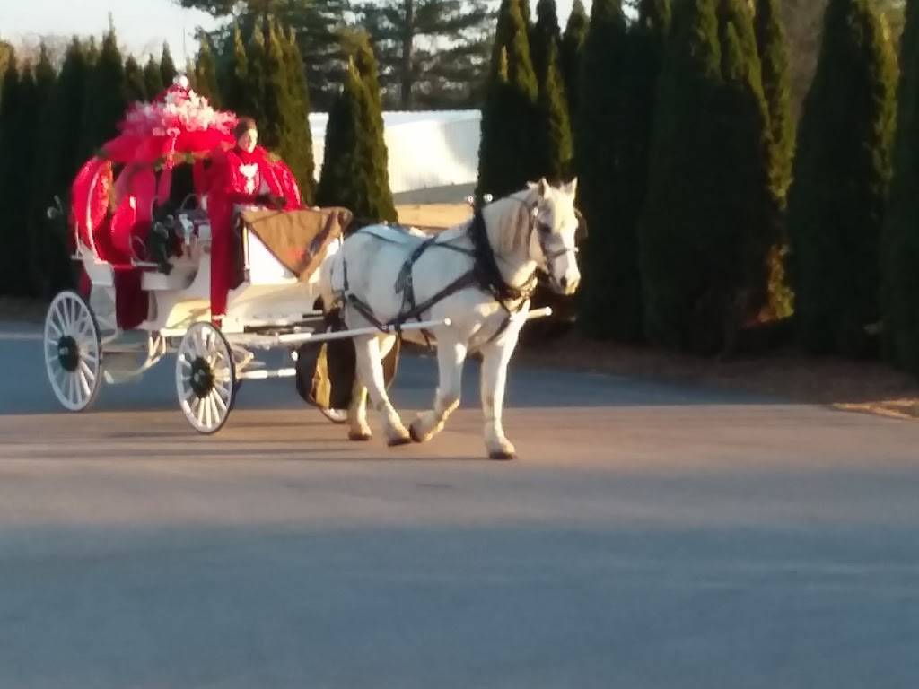 Indian Hills Country Club | restaurant | 200 Indian Hills Dr, Bowling Green, KY 42103, USA | 2708420041 OR +1 270-842-0041