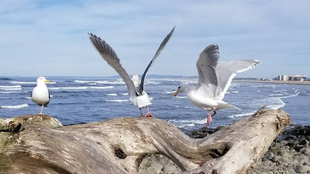 Seaside Golf Course | restaurant | 451 Avenue U, Seaside, OR 97138, USA | 5037385261 OR +1 503-738-5261