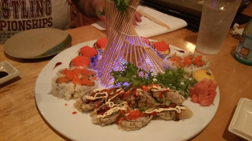 Wasabi Japanese Restaurant | restaurant | 807 Warren St, Hudson, NY 12534, USA | 5188221888 OR +1 518-822-1888