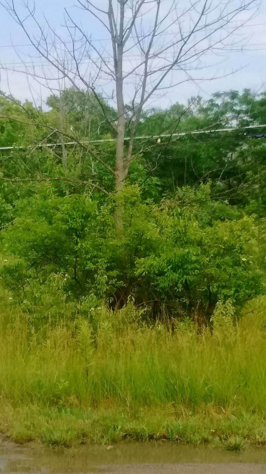 Subway | restaurant | 1904 S. Scatterfield Rd Unit 6 River Ridge Plaza S/C, Anderson, IN 46016, USA | 7656492675 OR +1 765-649-2675