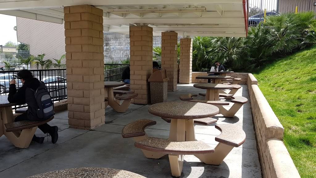 In-N-Out Burger | restaurant | 19920 Ventura Blvd, Woodland Hills, CA 91364, USA | 8007861000 OR +1 800-786-1000