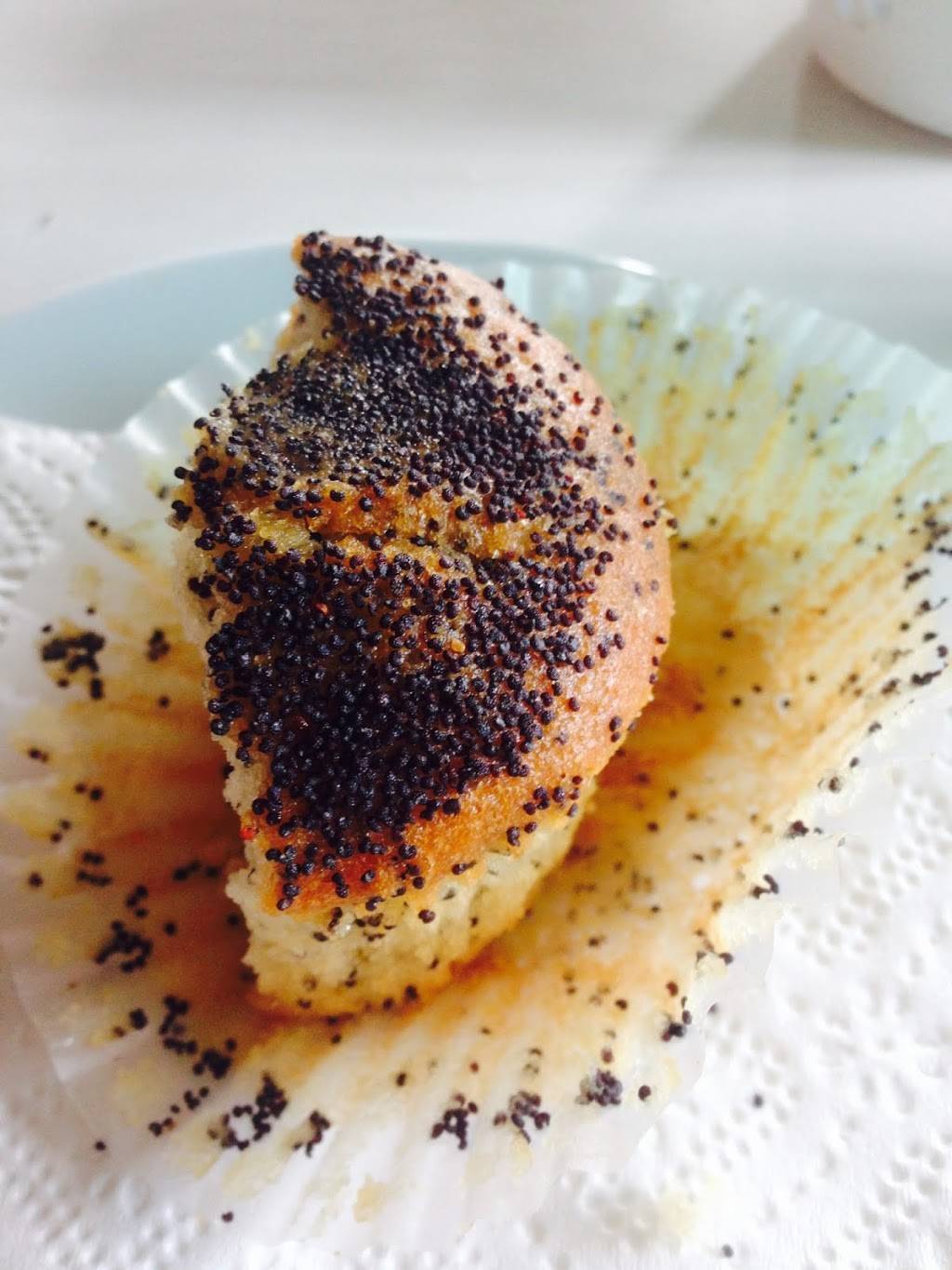 YOLO COFFEE SHOP & HOOKAH LOUNGE | cafe | 400 Broadway, Wisconsin Dells, WI 53965, USA | 6084329400 OR +1 608-432-9400