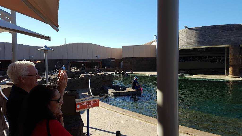 Butterfly Cafe | restaurant | 9500 East Vía de Ventura, Scottsdale, AZ 85256, USA | 4808003000 OR +1 480-800-3000