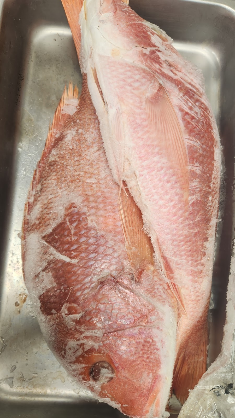 Legacy Village West African Cuisine | restaurant | 3124 N Granville Ave, Muncie, IN 47303, USA | 7654447013 OR +1 765-444-7013