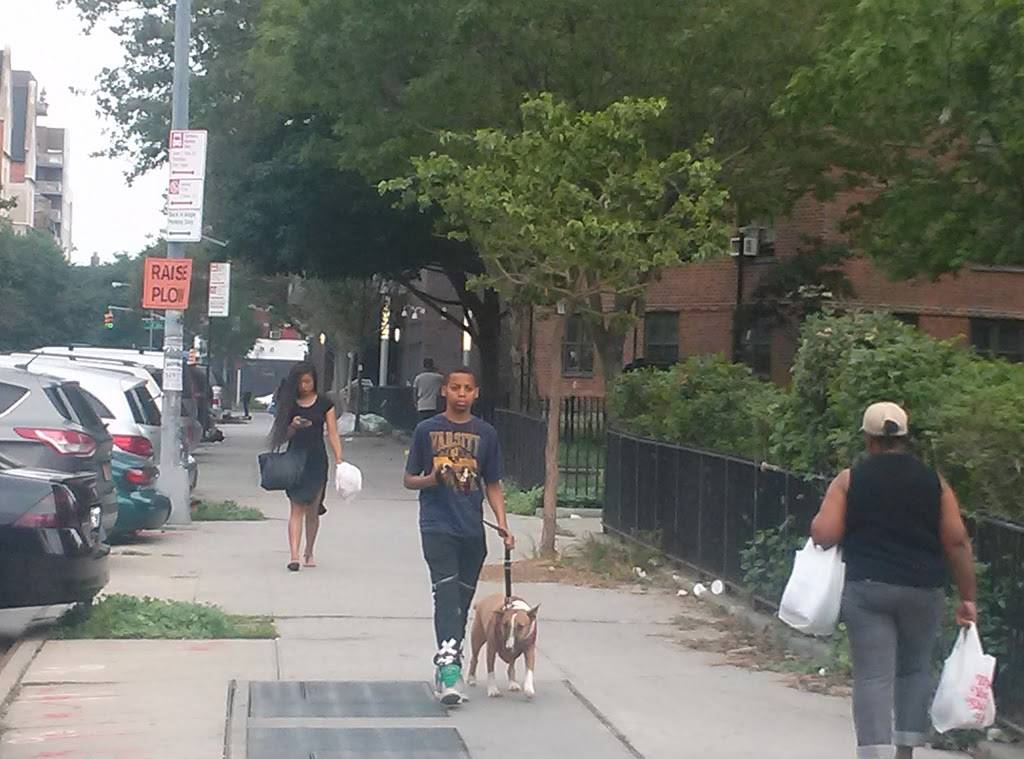 La Isla | restaurant | 1883 3rd Ave, New York, NY 10029, USA | 2125340002 OR +1 212-534-0002