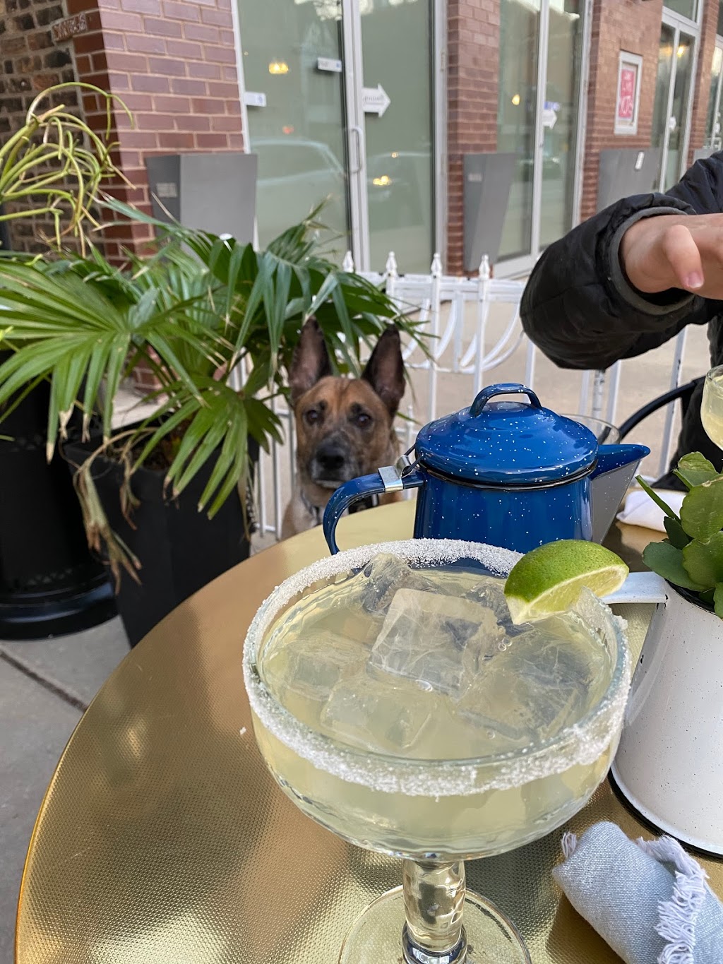 Doña Tola | restaurant | 3751 N Southport Ave, Chicago, IL 60613, USA | 7736612666 OR +1 773-661-2666