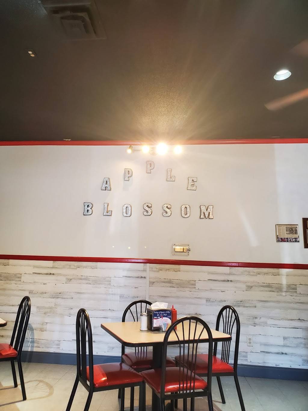 Apple Blossom Family Restaurant | restaurant | 6884 US-221, Moore, SC 29369, USA | 8644359207 OR +1 864-435-9207