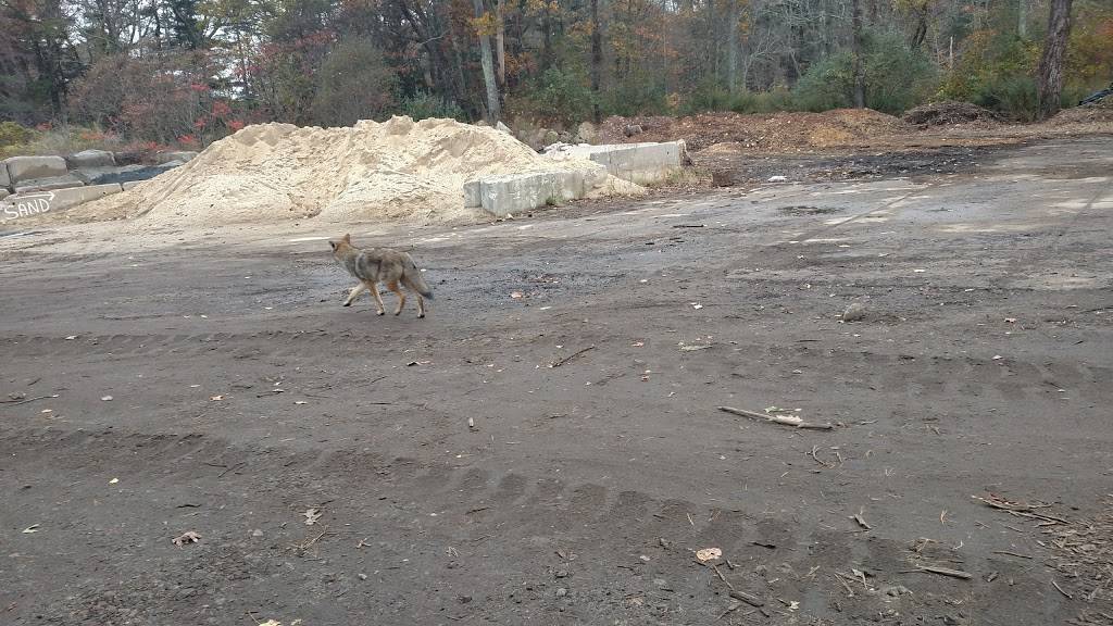 D E Foods Inc | restaurant | 170 Olde Forge Rd, Hanover, MA 02339, USA | 7819820755 OR +1 781-982-0755