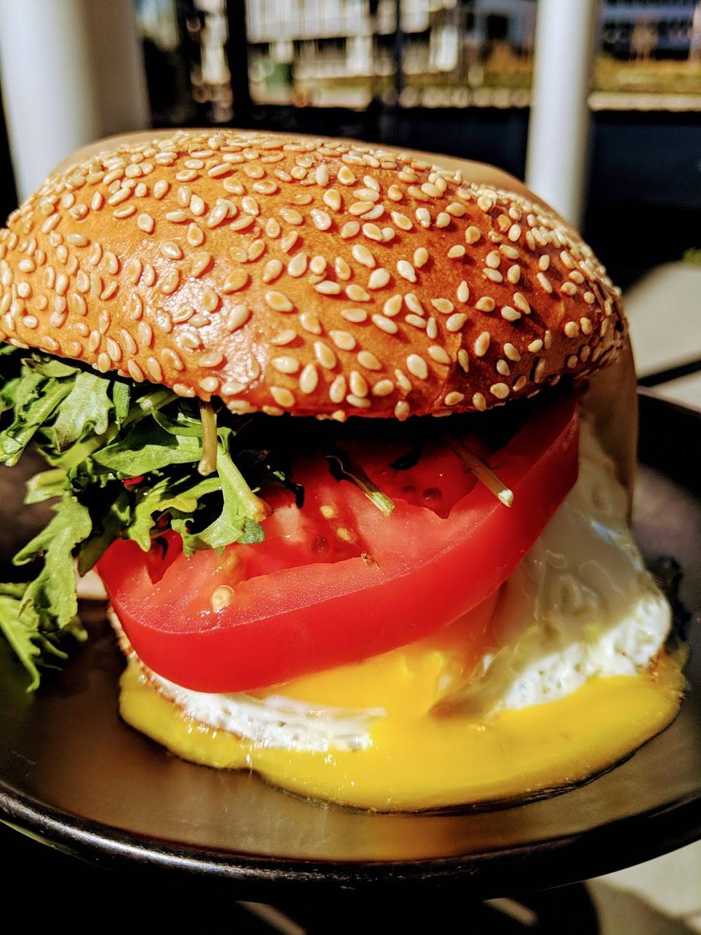 Roam Artisan Burgers | restaurant | 6000 Bollinger Canyon Rd Suite 1101, San Ramon, CA 94583, USA | 9253651427 OR +1 925-365-1427