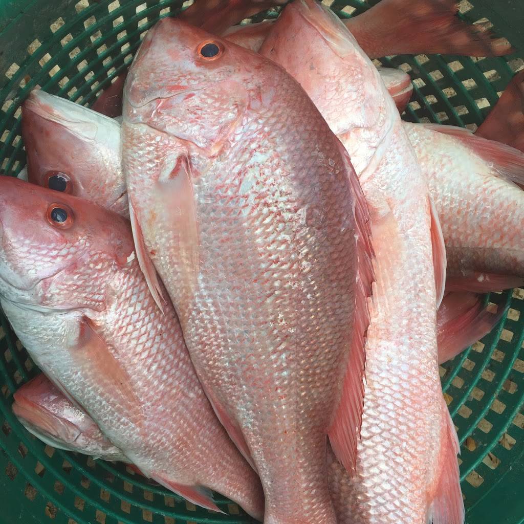 Key West Shrimp Co, Madeira Beach | restaurant | 215 150th Ave, Madeira Beach, FL 33708, USA | 7275921885 OR +1 727-592-1885