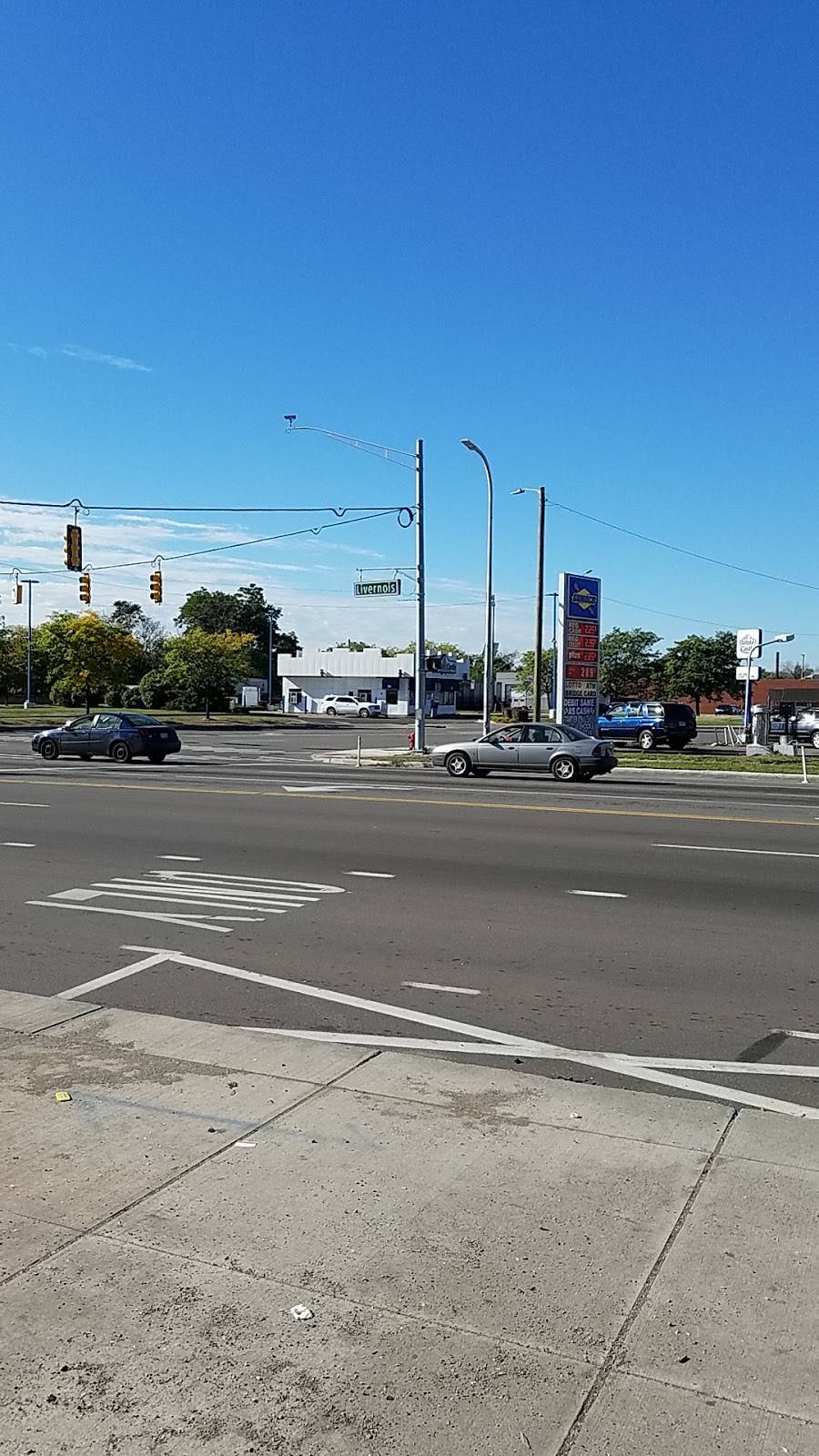 White Castle | restaurant | 6301 W Warren Ave, Detroit, MI 48210, USA | 3138978177 OR +1 313-897-8177
