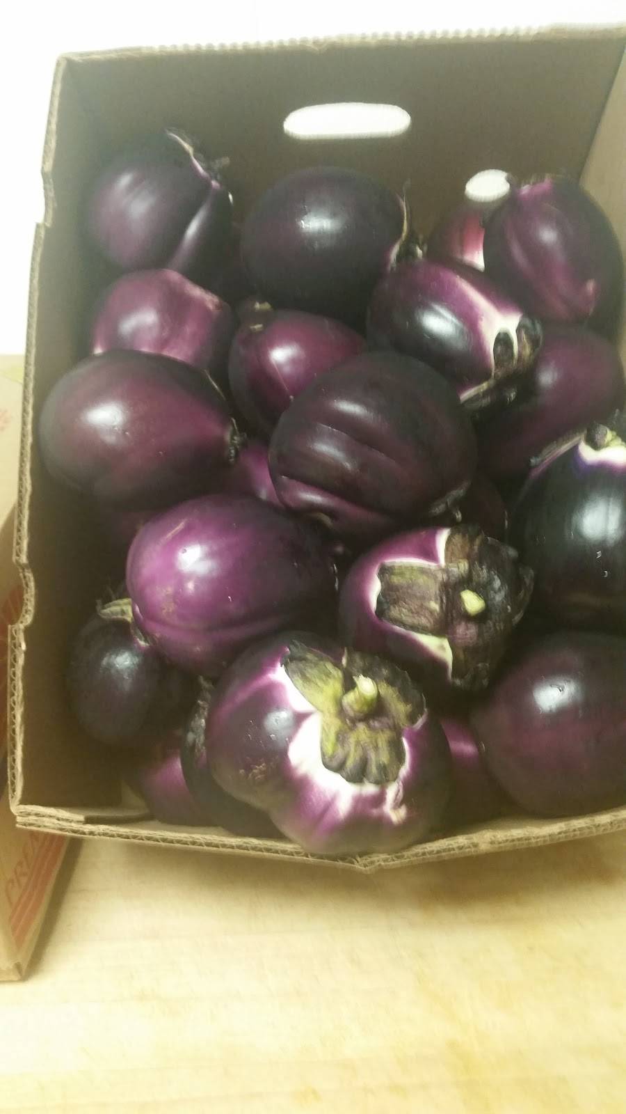 Little Nickis Pizza | restaurant | 1635 W Main St, Ephrata, PA 17522, USA | 7177332400 OR +1 717-733-2400