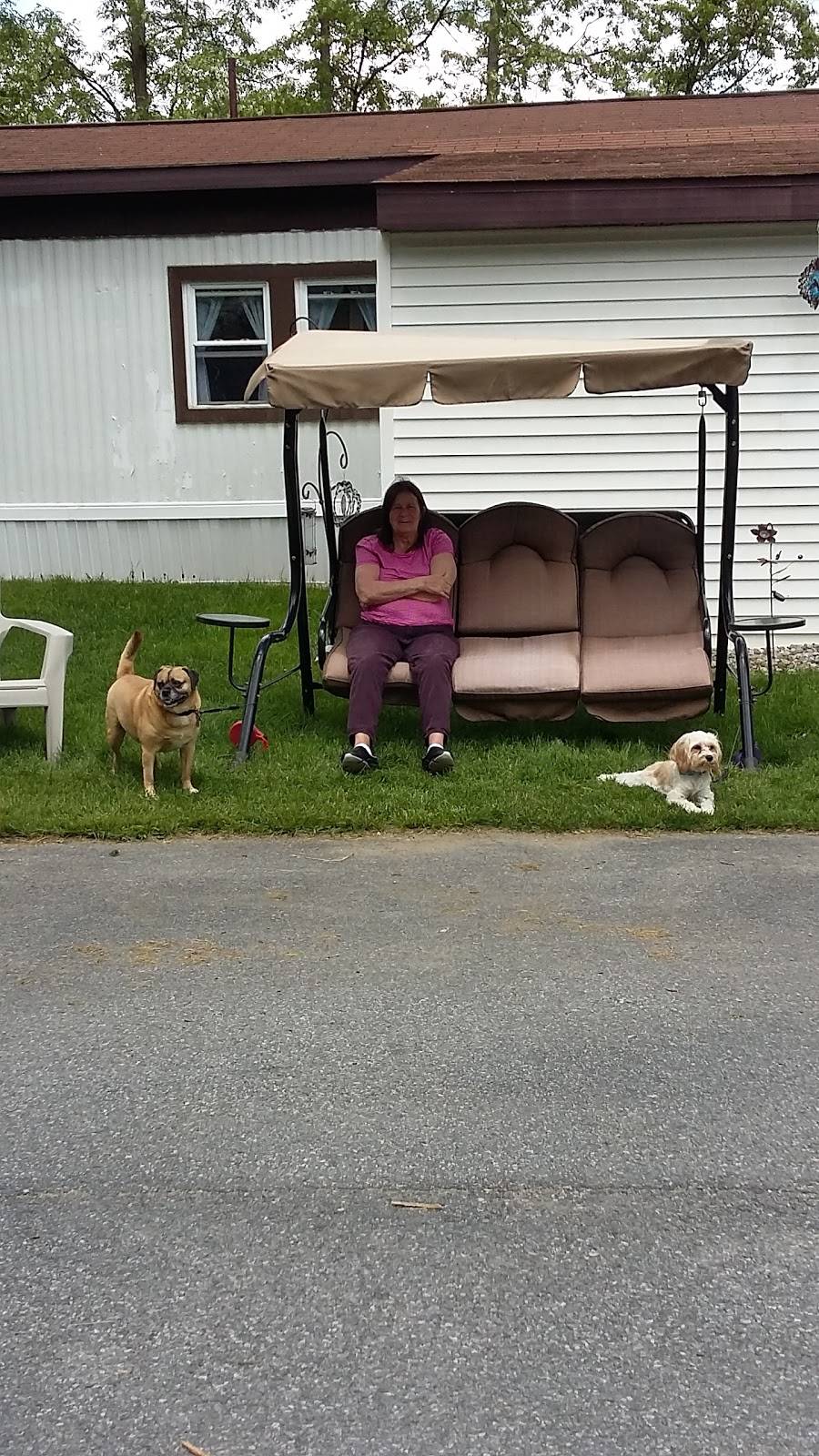 Nove | meal delivery | 707 Saratoga Rd, Wilton, NY 12831, USA | 5185838877 OR +1 518-583-8877