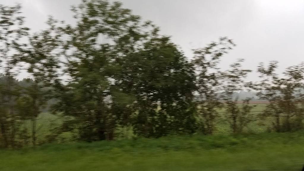 Foxs Pizza Den | restaurant | 10858 US-422, Shelocta, PA 15774, USA | 7243543698 OR +1 724-354-3698