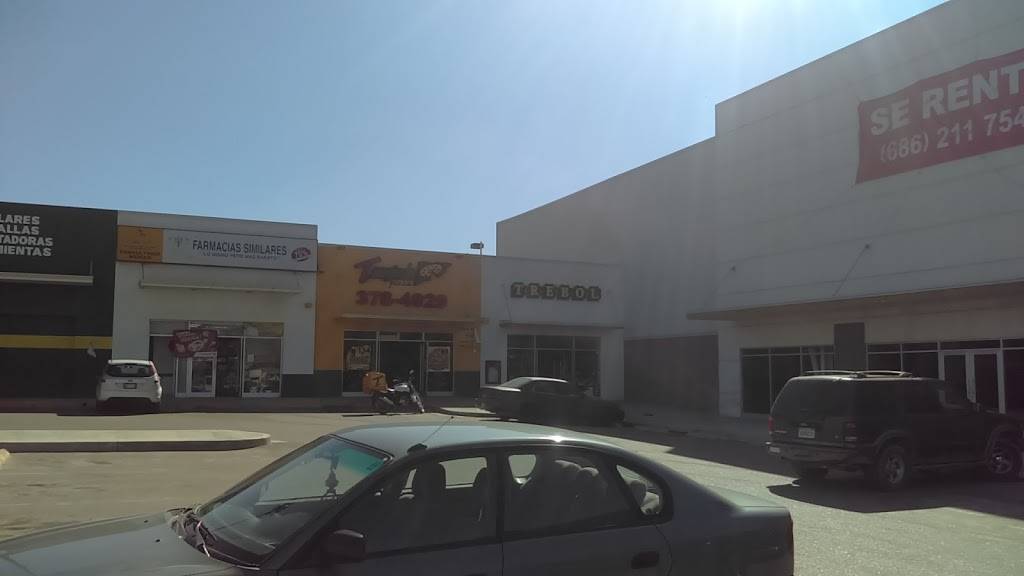 Tooginos Pizza Maclovio | restaurant | Tecate - Tijuana 21, Ejido Ojo de Agua, Redondo, B.C., Mexico | 016643784929 OR +52 664 378 4929