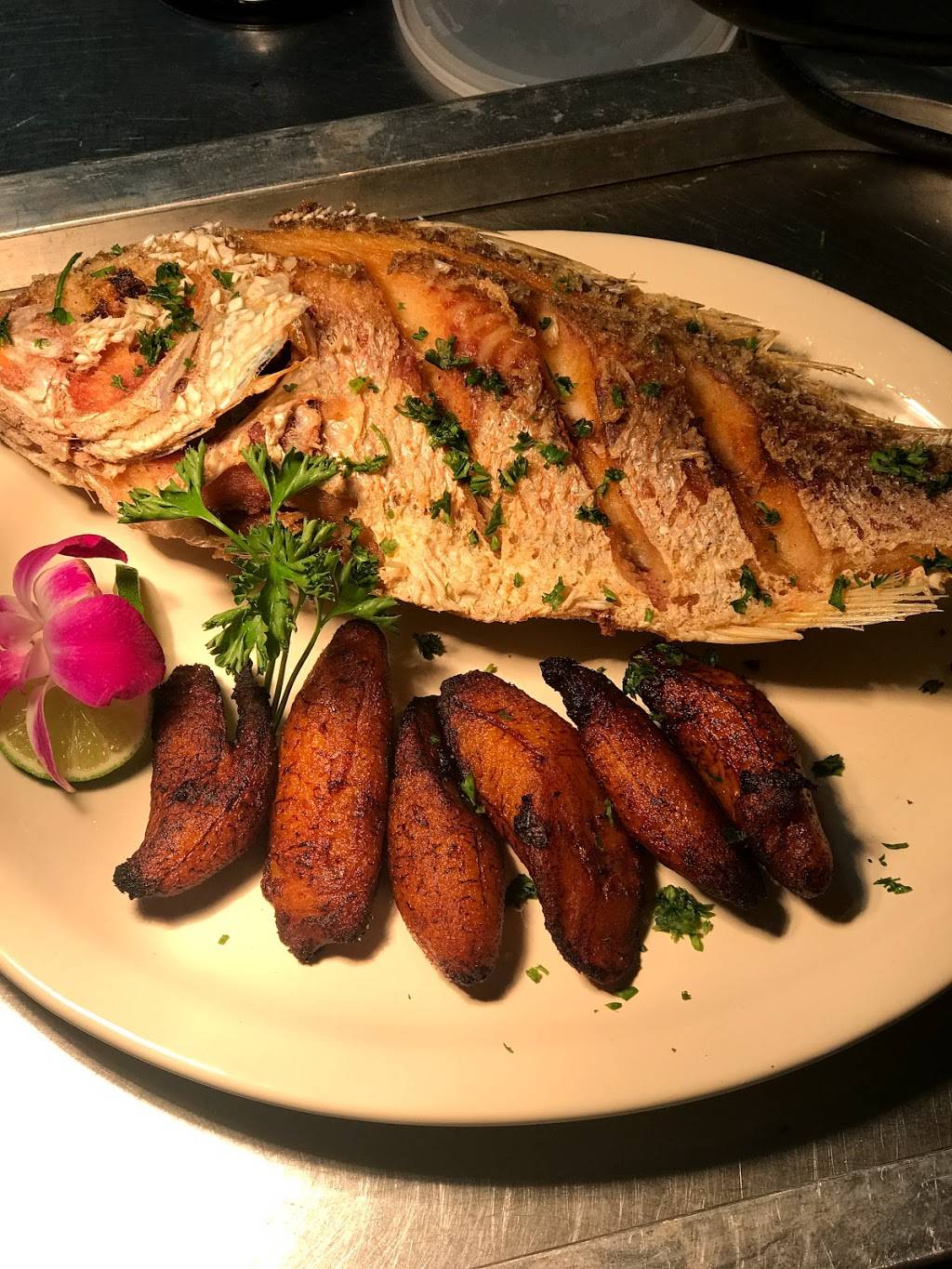 Don Pepito Tropical Eatery | restaurant | 4150 W Vine St, Kissimmee, FL 34741, USA | 4073434381 OR +1 407-343-4381