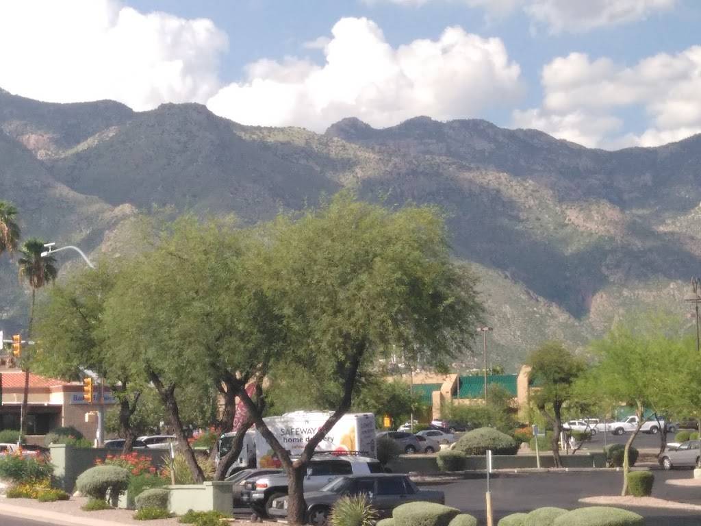 Trattoria Pina | restaurant | 5541 N Swan Rd, Tucson, AZ 85718, USA | 5205776992 OR +1 520-577-6992