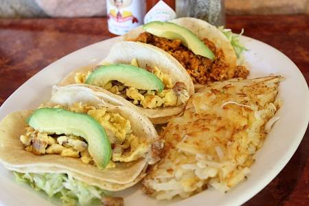 Gecko Grill | restaurant | 4341 E Baseline Rd, Gilbert, AZ 85234, USA | 4805392988 OR +1 480-539-2988