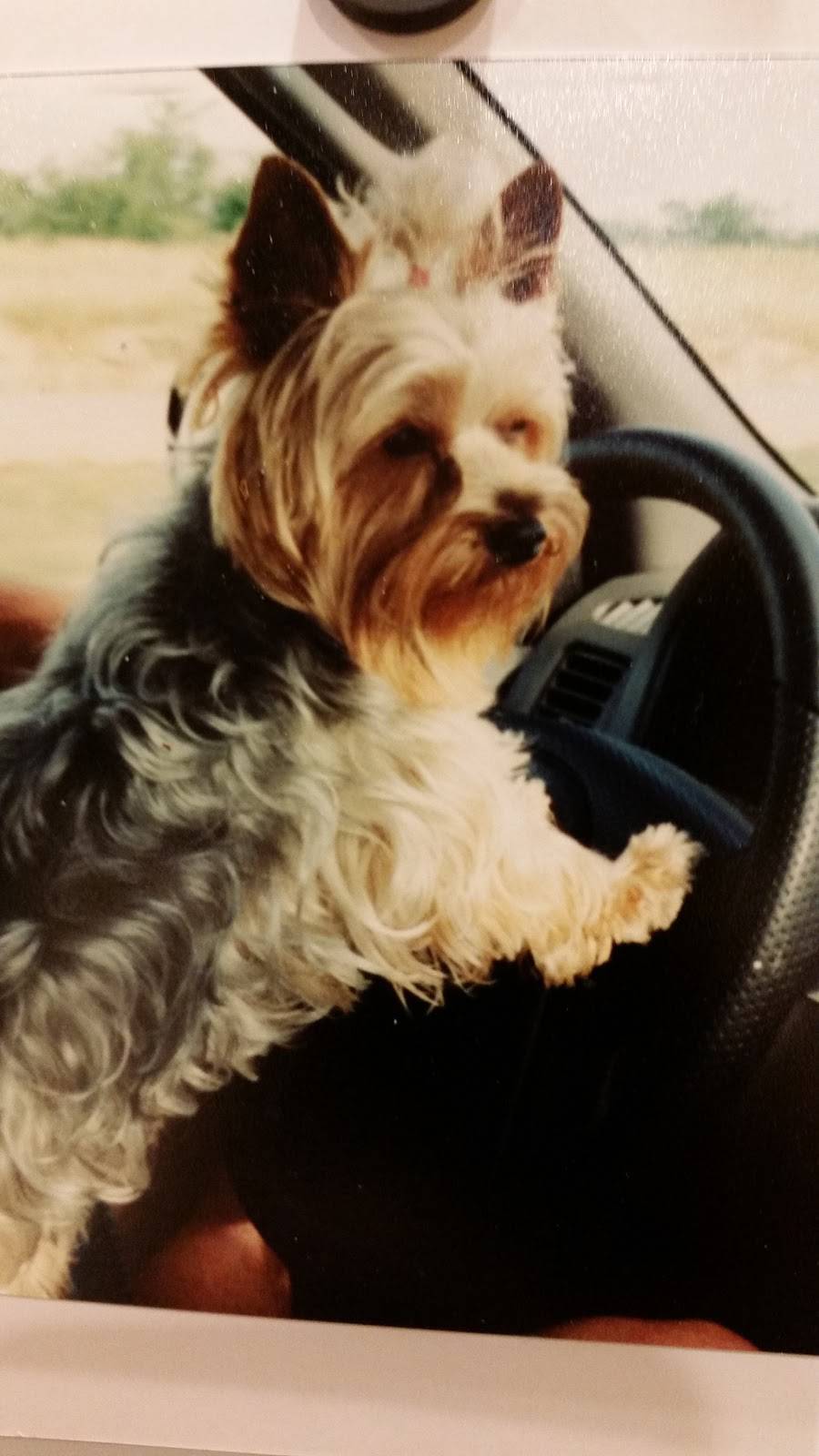 Nut Factory | restaurant | 308 S Doyle St, Louisburg, KS 66053, USA | 9133706544 OR +1 913-370-6544