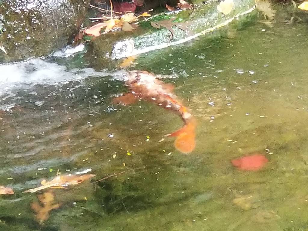 Mo Mo Ya | restaurant | 3861 Roswell Rd NE, Atlanta, GA 30342, USA | 4042613777 OR +1 404-261-3777