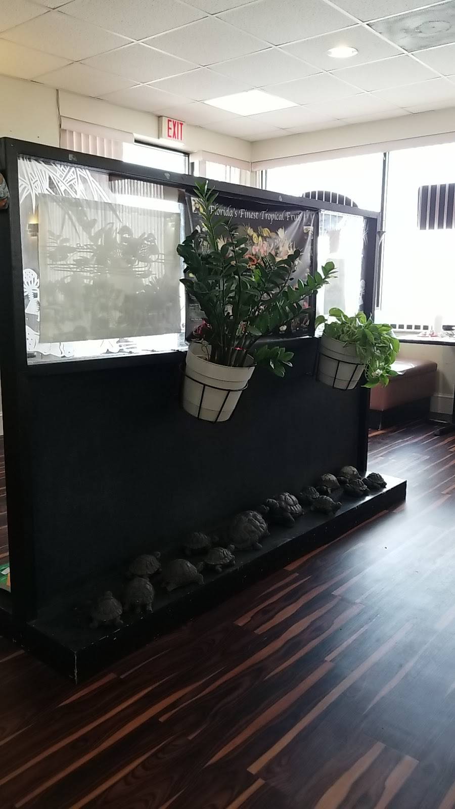 Myas Noodle House | restaurant | 2130 N Young Blvd, Chiefland, FL 32626, USA | 3524908188 OR +1 352-490-8188