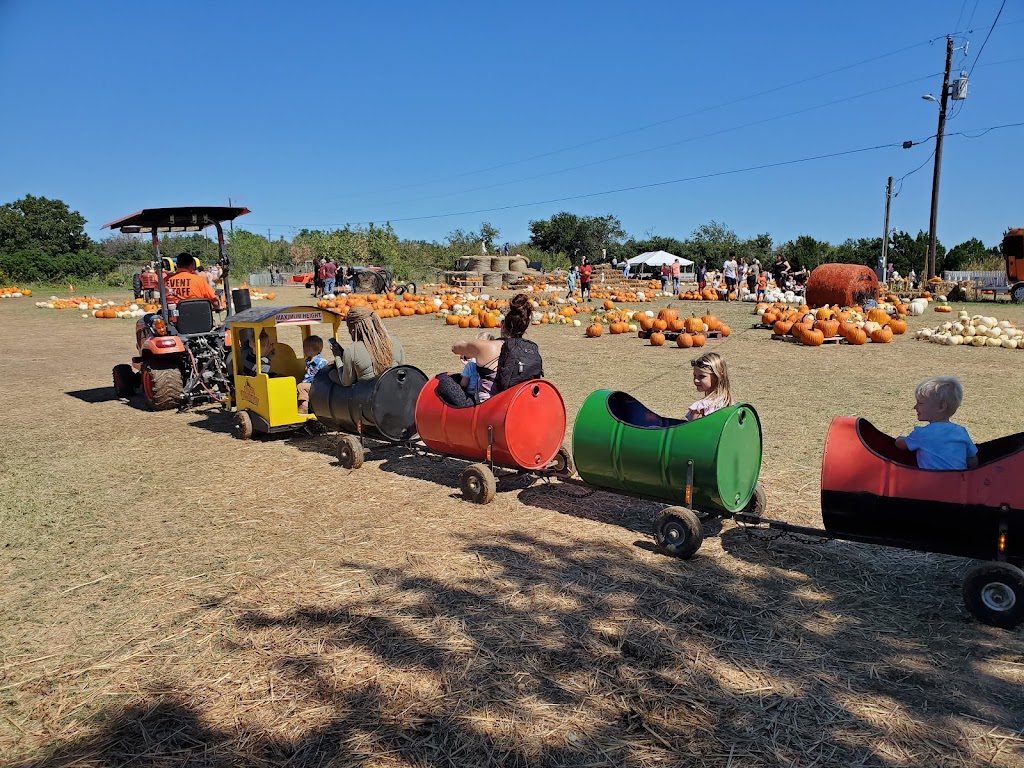 Texas Pumpkin Fest | restaurant | 8760 FM 2243, Leander, TX 78641, USA | 5122228055 OR +1 512-222-8055