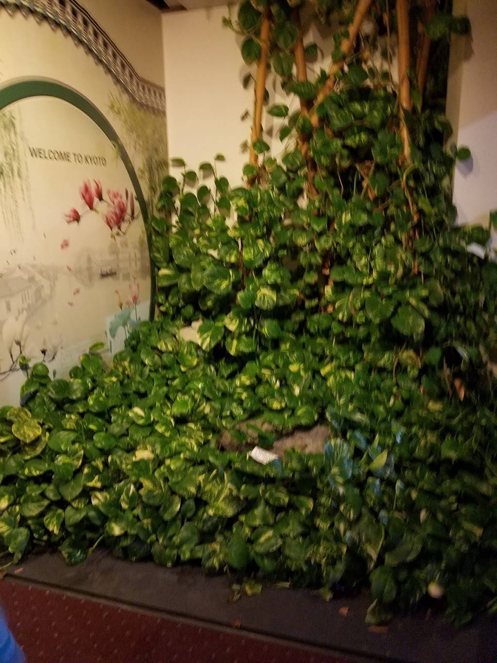 Kyoto Japanese Steakhouse & Sushi Bar | restaurant | 1412 Greenbrier Pkwy #129, Chesapeake, VA 23320, USA | 7574200950 OR +1 757-420-0950