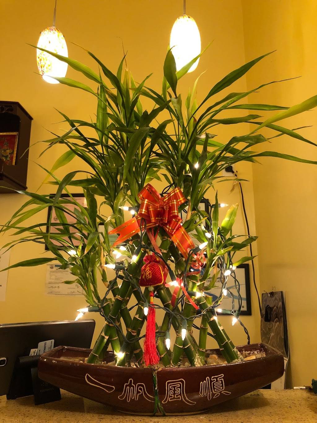 Tenglong Chinese Restaurant | restaurant | 208 Clement St, San Francisco, CA 94118, USA | 4156663515 OR +1 415-666-3515