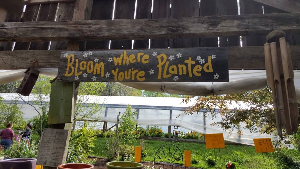 Farm House Café & Tea Room | cafe | 5171 Bean Blossom Rd, Nineveh, IN 46164, USA | 8129882004 OR +1 812-988-2004