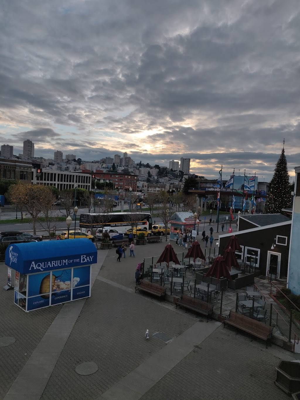 Gold Rush Grill | restaurant | San Francisco, CA 94133, USA | 4159814318 OR +1 415-981-4318