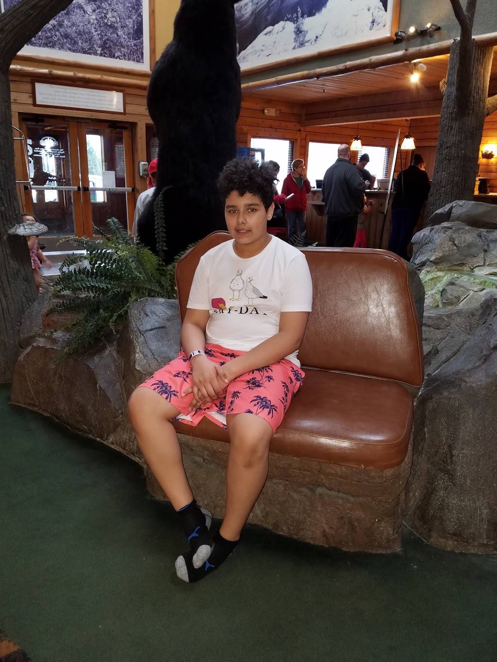 The Thirsty Buffalo Saloon | restaurant | 45 Hillman Rd, Baraboo, WI 53913, USA | 6082539729 OR +1 608-253-9729