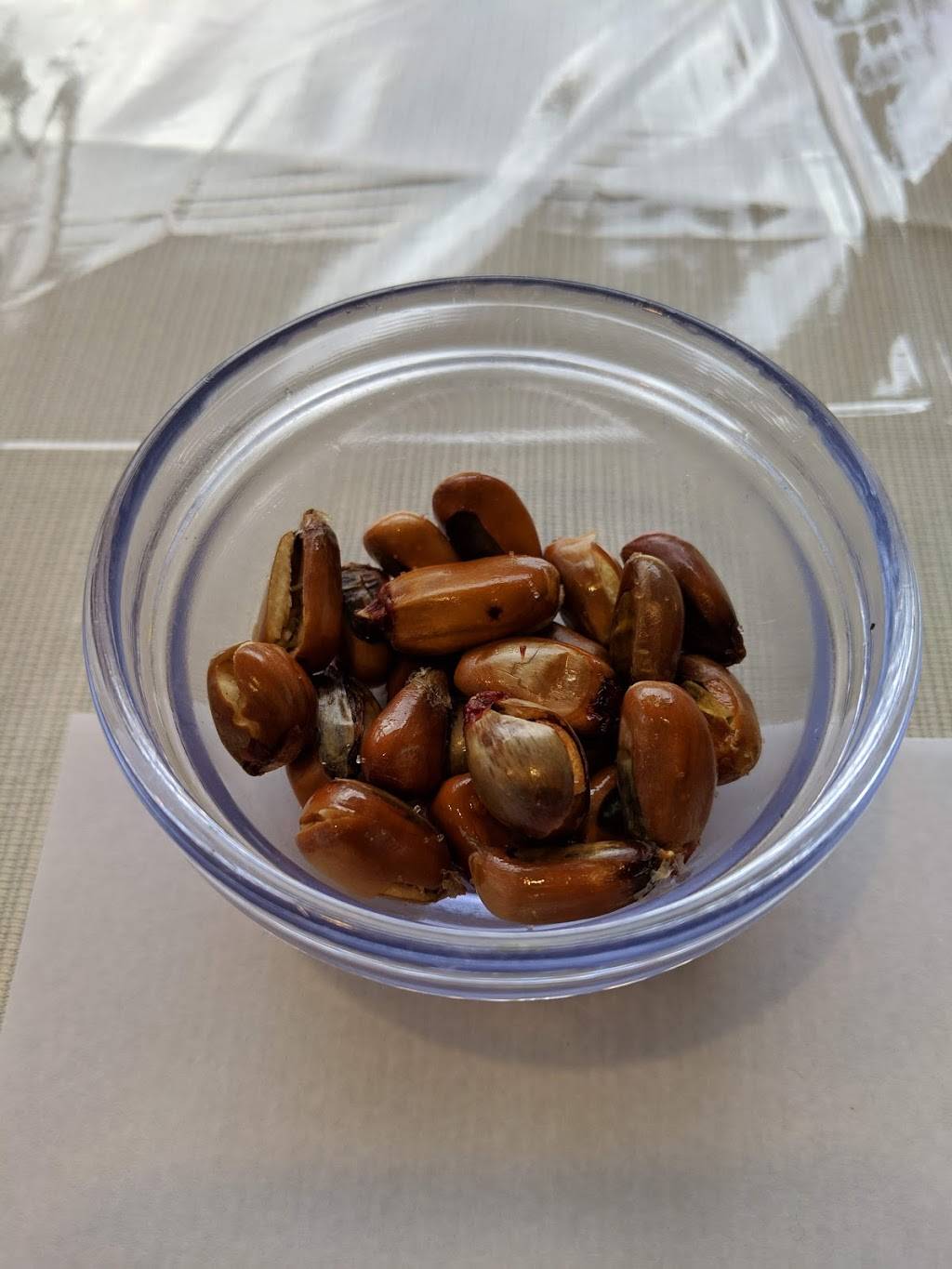 El Encanto | restaurant | 58 East Old Country Rd, Mineola, NY 11501, USA | 5167439366 OR +1 516-743-9366