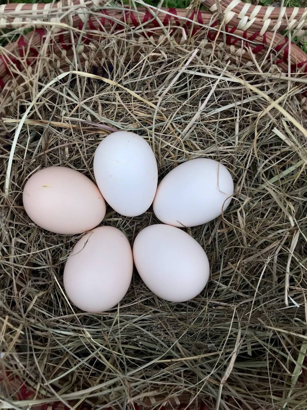 Bresse Farms | restaurant | 1953 MS-345, Pontotoc, MS 38863, USA | 6628715789 OR +1 662-871-5789