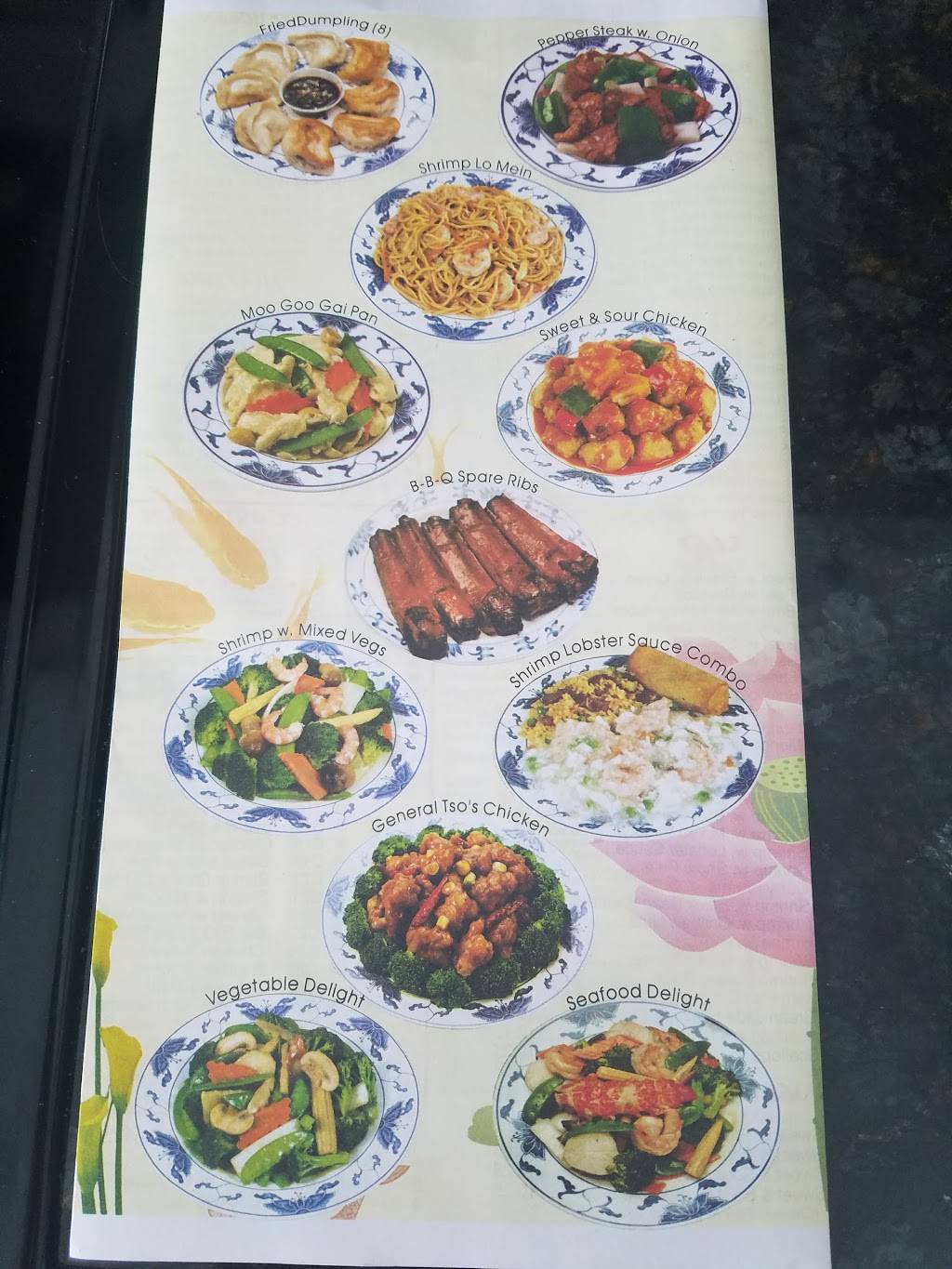 Golden Bowl Restaurant | restaurant | 3447 Lithia Pinecrest Rd, Valrico, FL 33596, USA | 8136573878 OR +1 813-657-3878