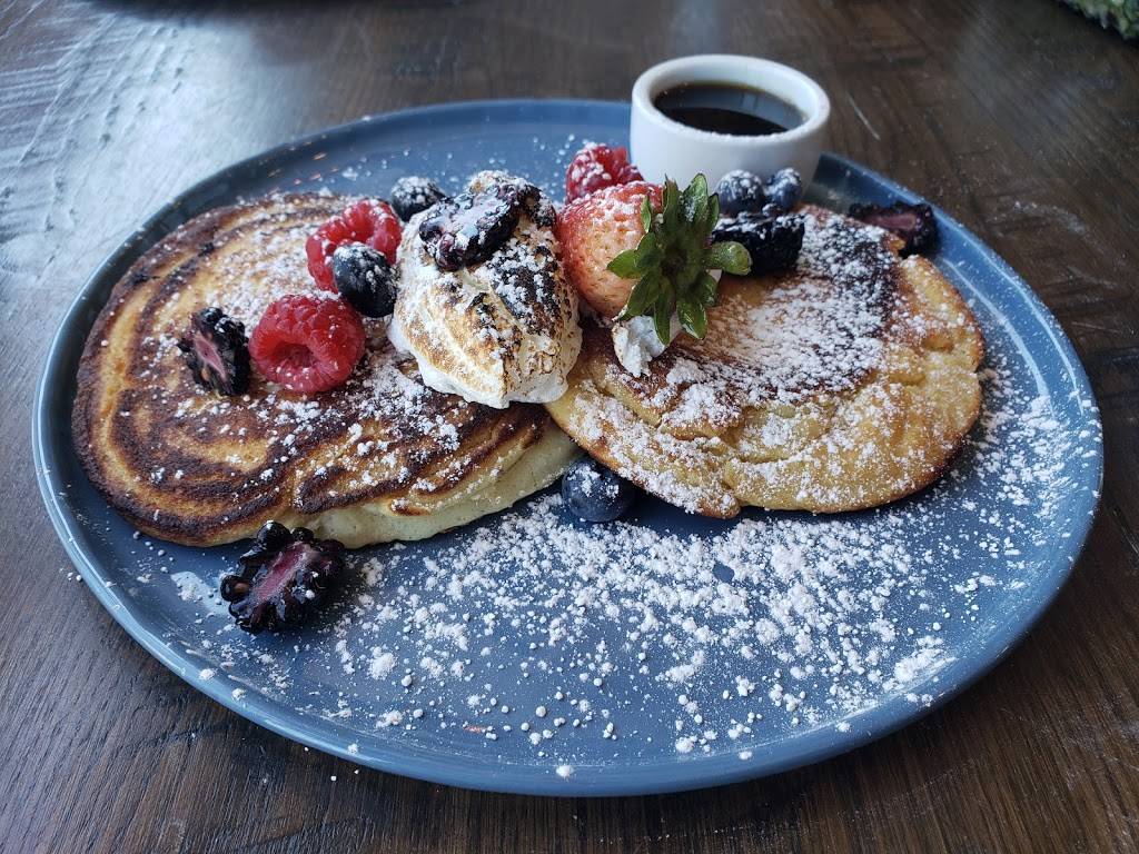 The Wild Feast Cafe | restaurant | 88 N Village Ave, Rockville Centre, NY 11570, USA | 5166652124 OR +1 516-665-2124