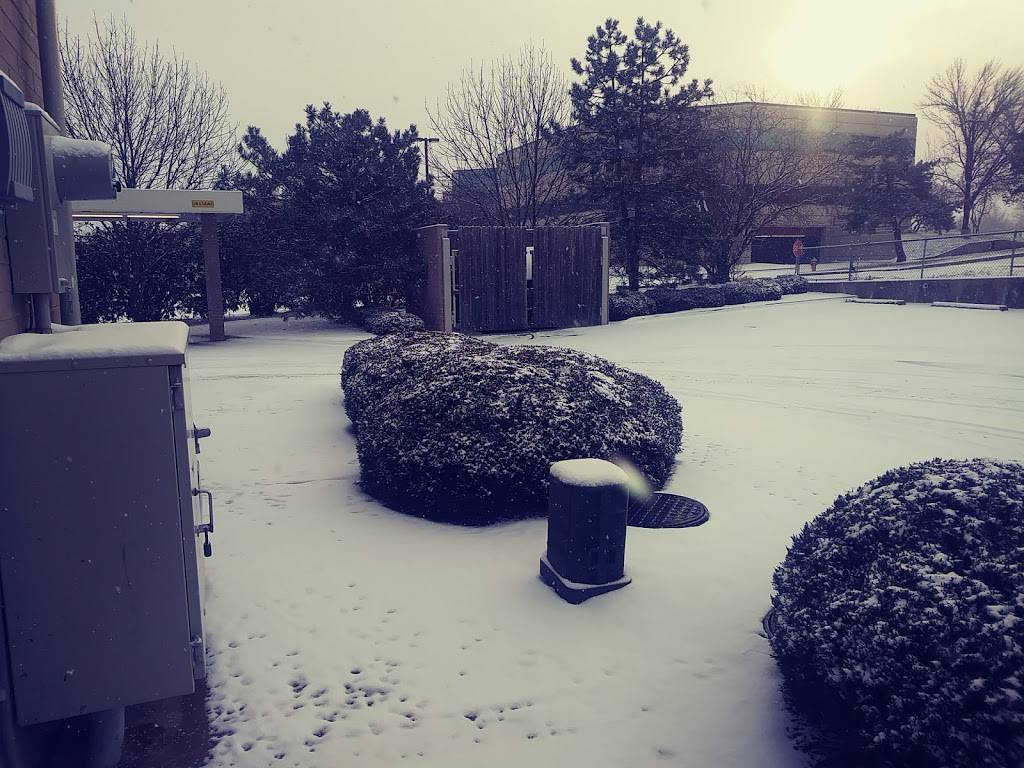 Sonic Drive-In | restaurant | 10701 Roe Ave, Overland Park, KS 66211, USA | 9139010175 OR +1 913-901-0175