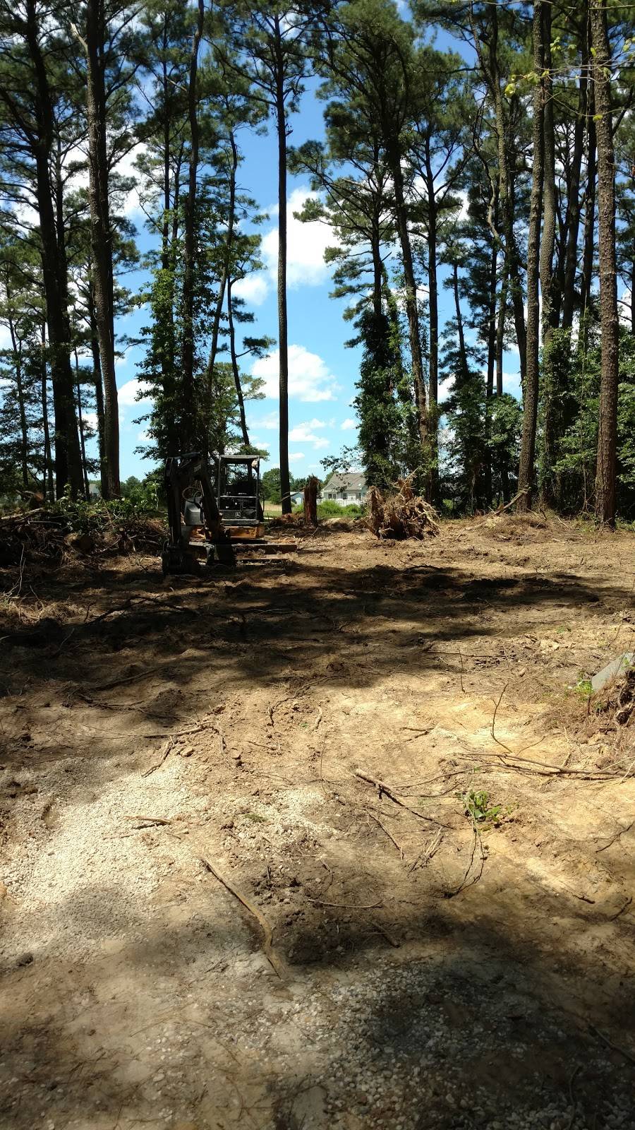 Captains Cove Golf & Yacht Club | restaurant | 3332 Captains Corridor, Greenbackville, VA 23356, USA | 7578243465 OR +1 757-824-3465